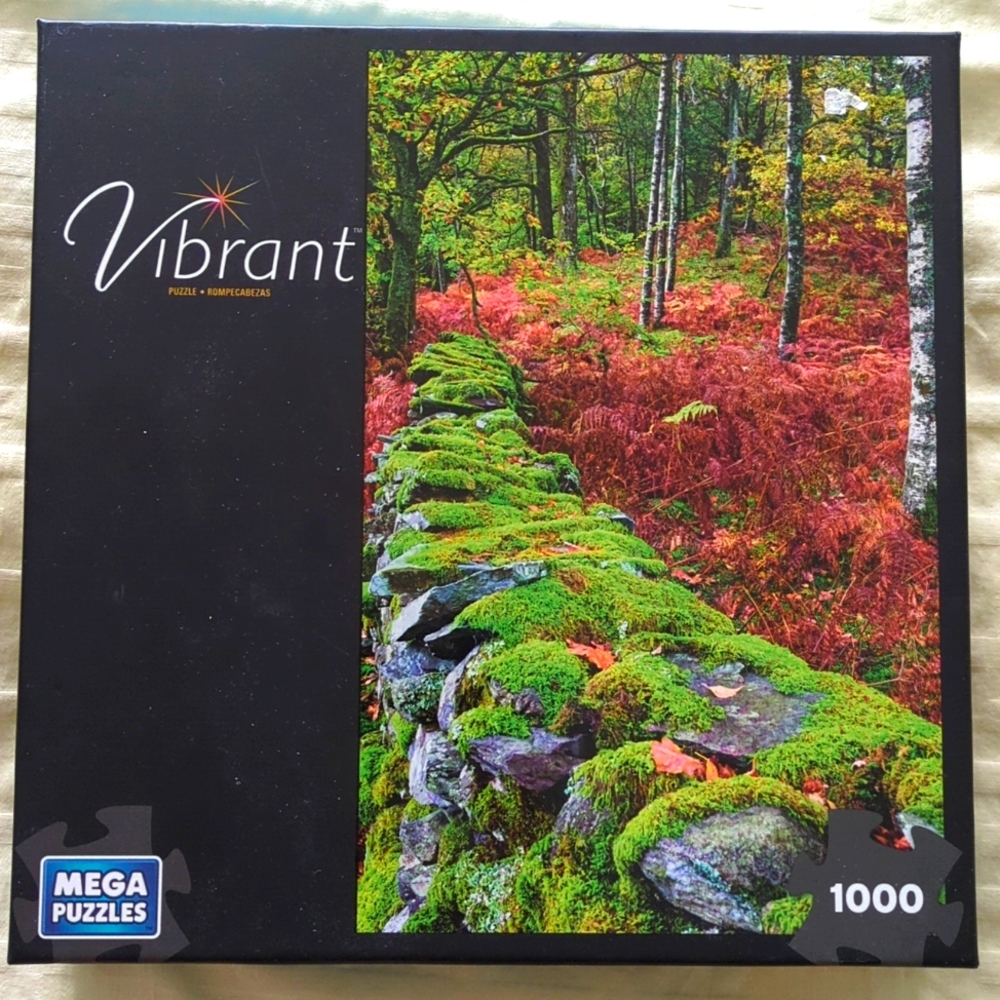 1000 Piece Mega Puzzles - Rock Wall